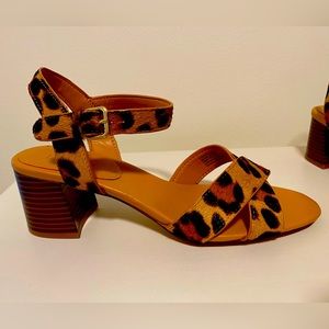 COPY - JCREW leopard calf hair low block heel sandals